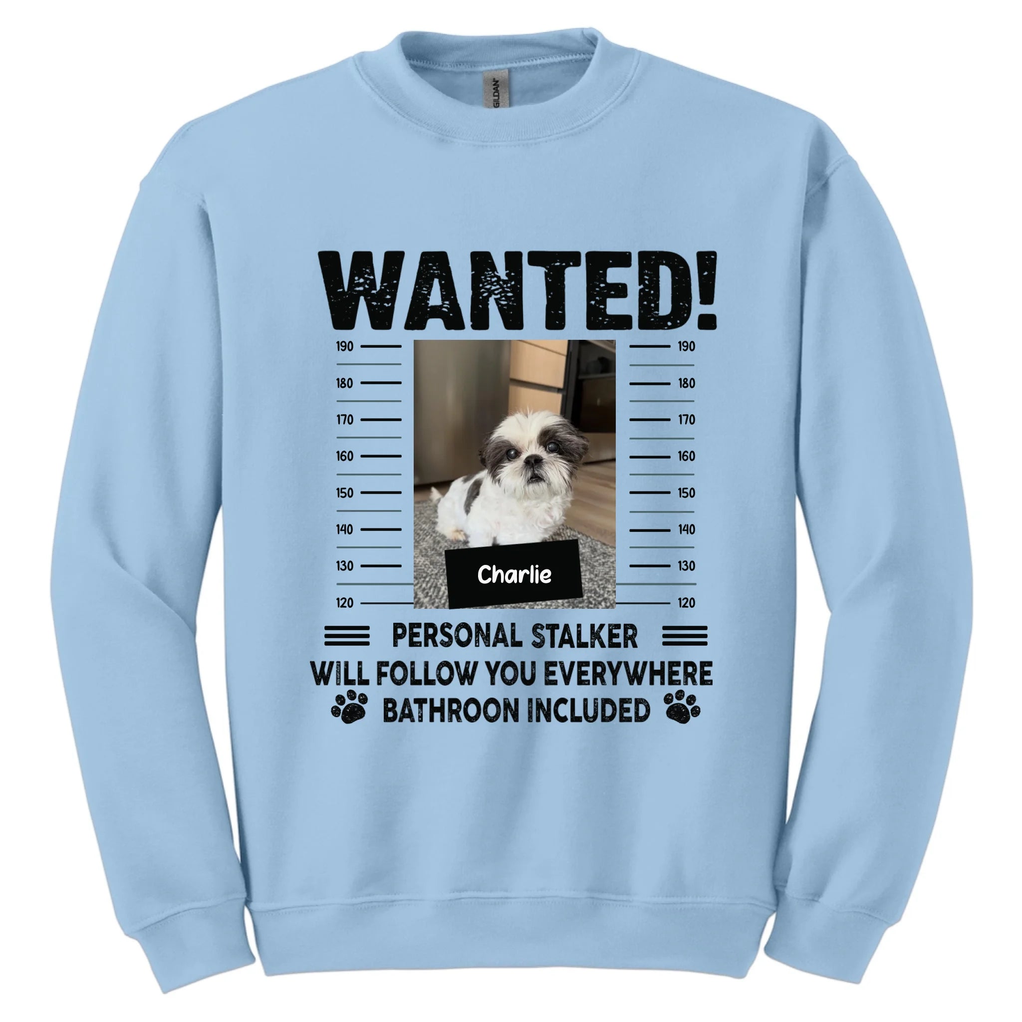 light-blue-sports-grey