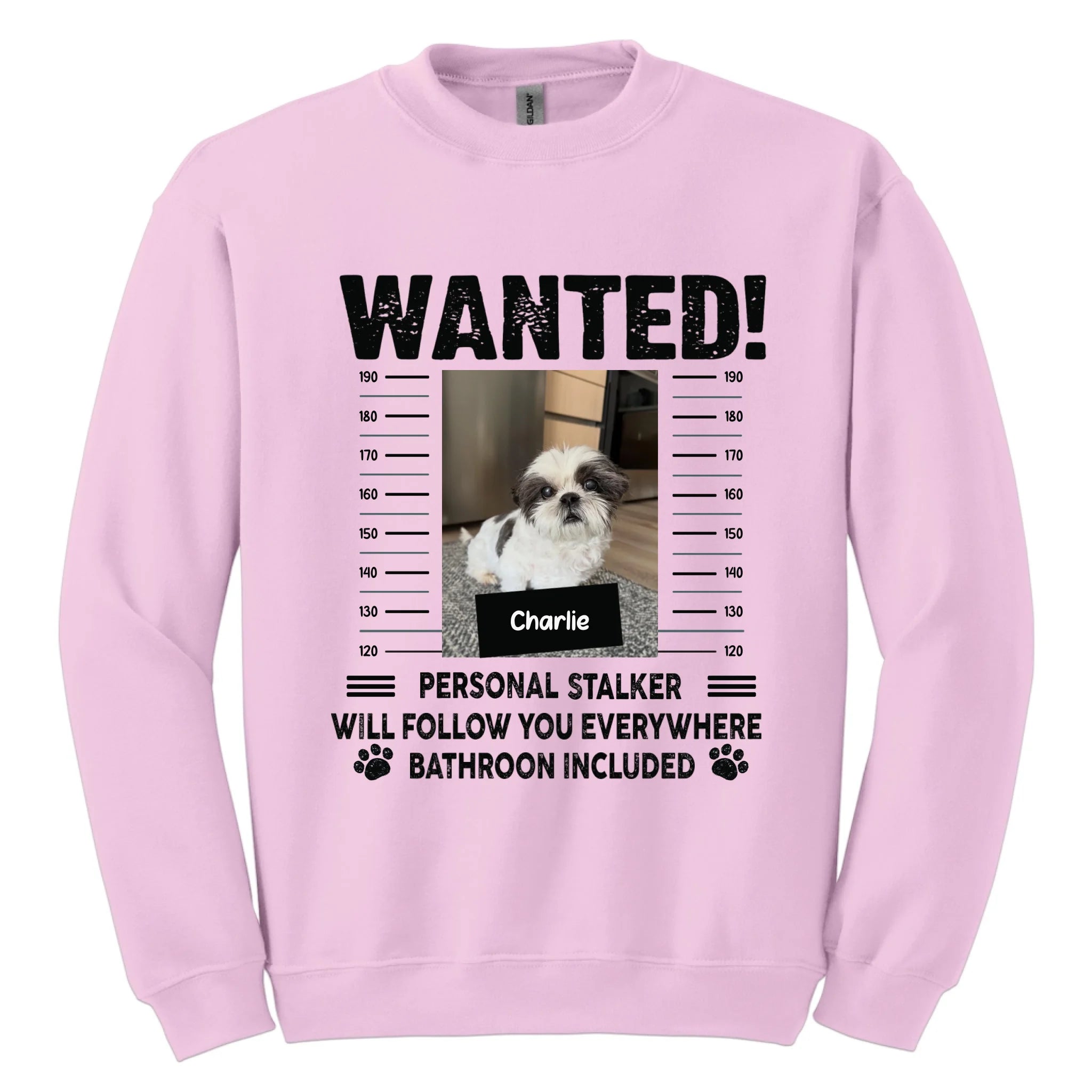 light-pink-sweatshirt