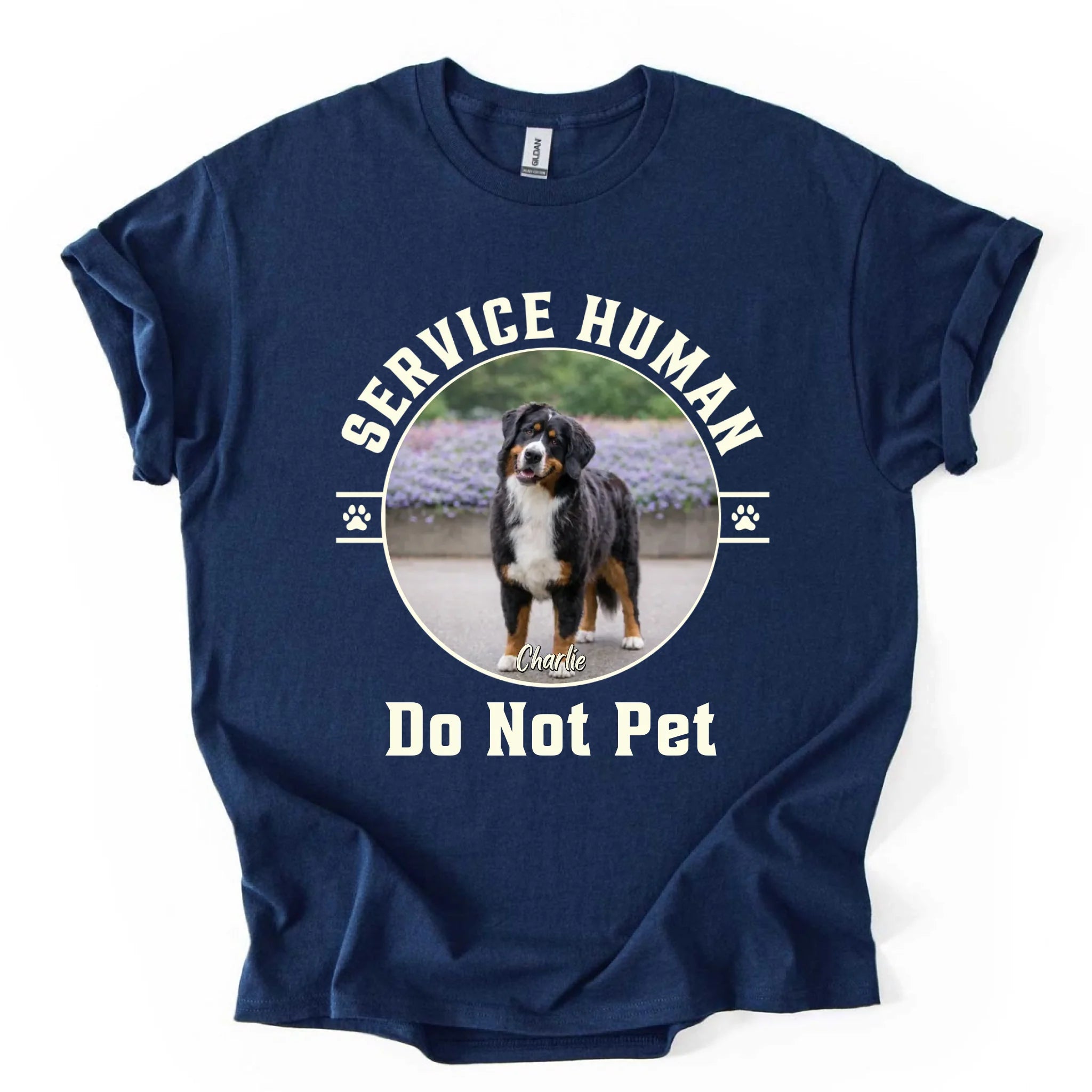 navy